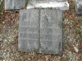 image of grave number 48355